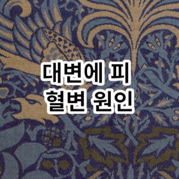 대변에 피 혈변 원인