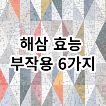 해삼 효능 부작용 6가지