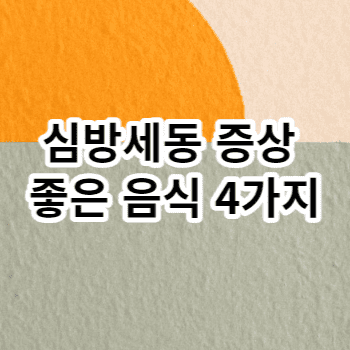 심방세동 증상 좋은 음식 4가지