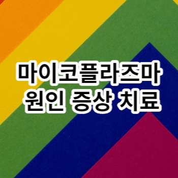 마이코플라즈마 원인 증상 치료