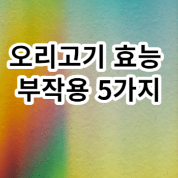 오리고기 효능 부작용 5가지