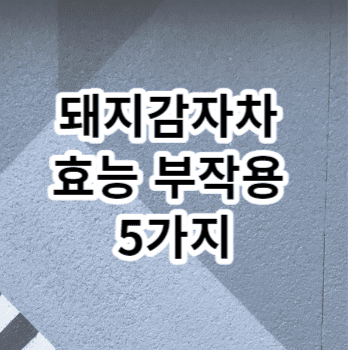 돼지감자차 효능 부작용 5가지