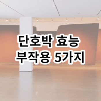 단호박 효능 부작용 5가지