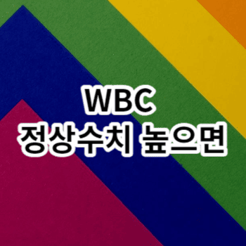 WBC 정상수치 높으면