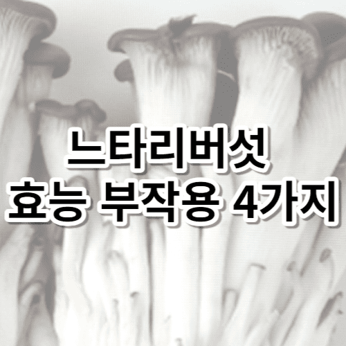 느타리버섯 효능 부작용 4가지