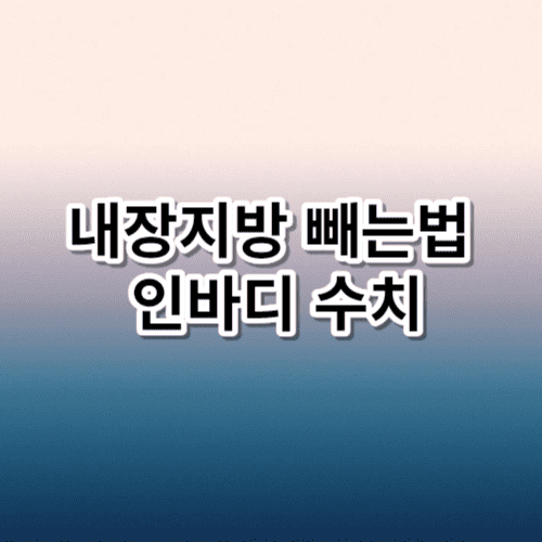 내장지방 빼는법 인바디 수치