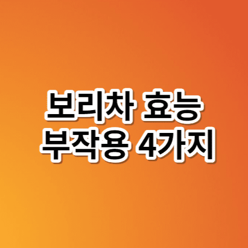 보리차 효능 부작용 4가지