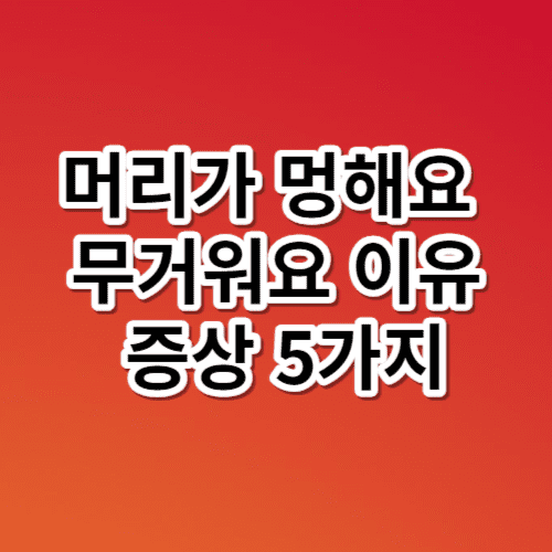 머리가 멍해요 무거워요 이유 증상 5가지