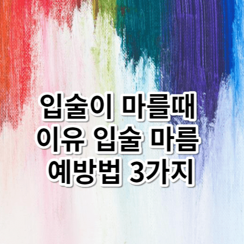 입술이 마를때 이유 입술 마름 예방법 3가지