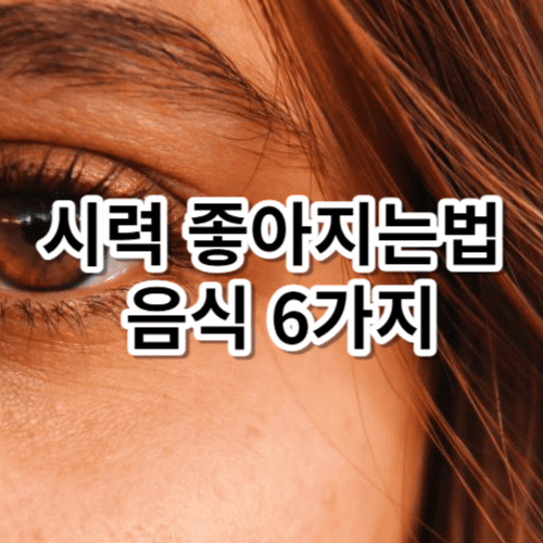 시력 좋아지는법 음식 6가지