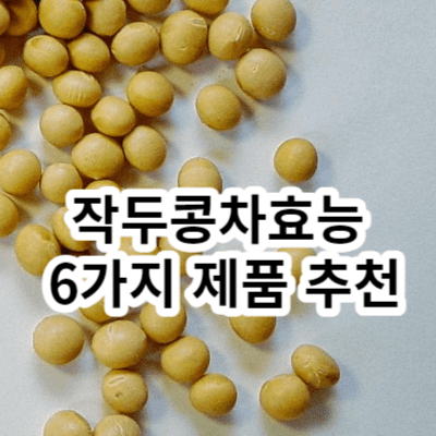 작두콩차효능 6가지 제품 추천