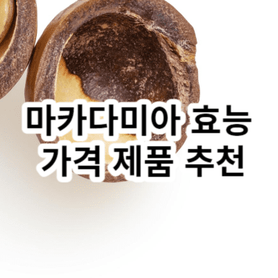 마카다미아 효능 가격 제품 추천