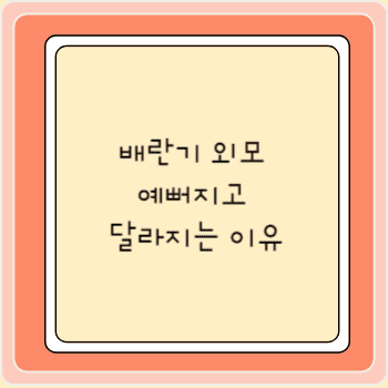 배란기 외모 예뻐지고 달라지는 이유