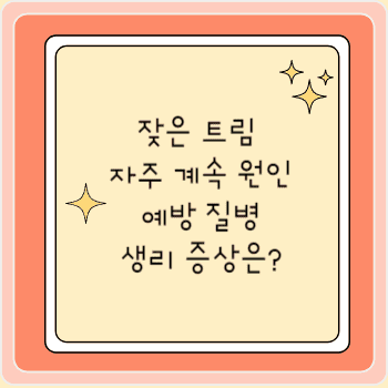 잦은 트림 자주 계속 원인 예방 질병 생리 증상은?