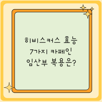 히비스커스 효능 7가지 카페인 임산부 복용은?