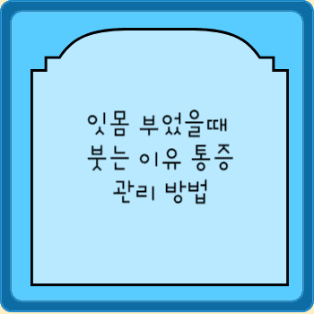 잇몸 부었을때 붓는 이유 통증 관리 방법