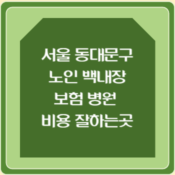 서울 동대문구 노인 백내장 보험 병원 수술비 비용 지원 잘하는곳