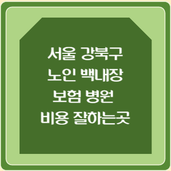 서울 강북구 노인 백내장 보험 병원 수술비 비용 지원 잘하는곳