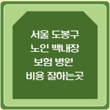 서울 도봉구 노인 백내장 보험 병원 수술비 비용 지원 잘하는곳