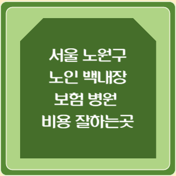 서울 노원구 노인 백내장 보험 병원 수술비 비용 지원 잘하는곳