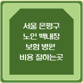 서울 은평구 노인 백내장 보험 병원 수술비 비용 지원 잘하는곳