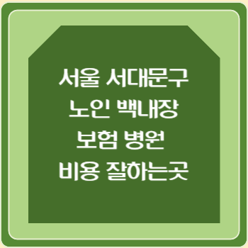 서울 서대문구 노인 백내장 보험 병원 수술비 비용 지원 잘하는곳