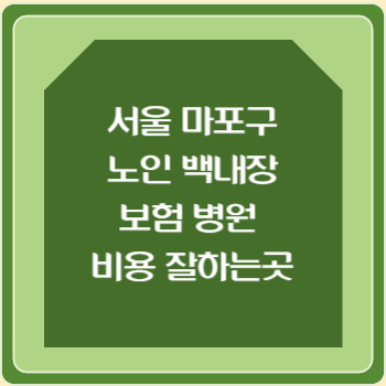 서울 마포구 노인 백내장 보험 병원 수술비 비용 지원 잘하는곳