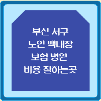 부산 서구 노인 백내장 보험 병원 수술비 비용 지원 잘하는곳