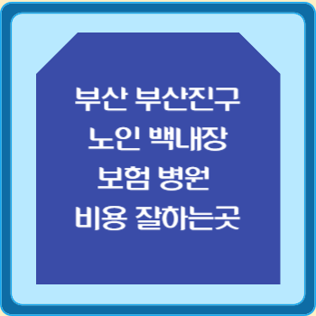 부산 부산진구 노인 백내장 보험 병원 수술비 비용 지원 잘하는곳