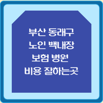 부산 동래구 노인 백내장 보험 병원 수술비 비용 지원 잘하는곳