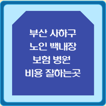 부산 사하구 노인 백내장 보험 병원 수술비 비용 지원 잘하는곳