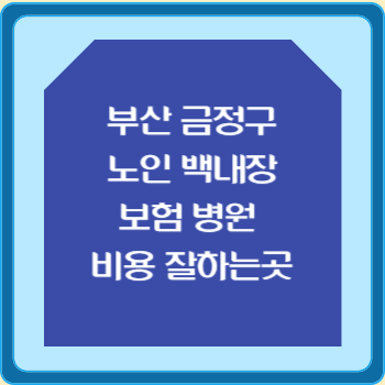 부산 금정구 노인 백내장 보험 병원 수술비 비용 지원 잘하는곳