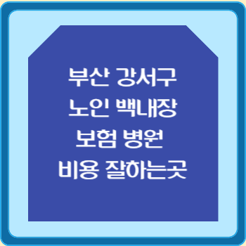 부산 강서구 노인 백내장 보험 병원 수술비 비용 지원 잘하는곳