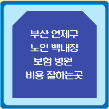 부산 연제구 노인 백내장 보험 병원 수술비 비용 지원 잘하는곳