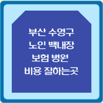 부산 수영구 노인 백내장 보험 병원 수술비 비용 지원 잘하는곳