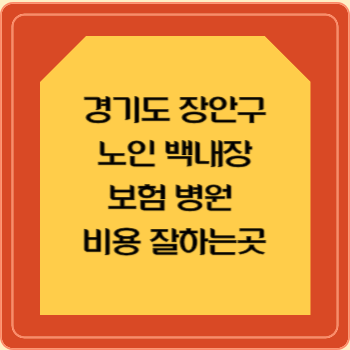 경기도 장안구 노인 백내장 보험 병원 수술비 비용 지원 잘하는곳