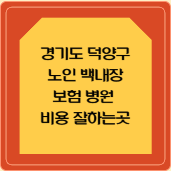 경기도 덕양구 노인 백내장 보험 병원 수술비 비용 지원 잘하는곳