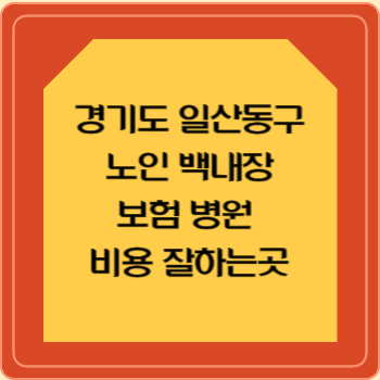 경기도 일산동구 노인 백내장 보험 병원 수술비 비용 지원 잘하는곳