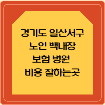 경기도 일산서구 노인 백내장 보험 병원 수술비 비용 지원 잘하는곳