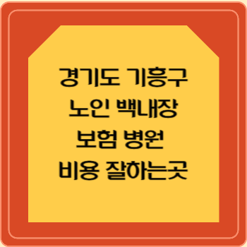 경기도 기흥구 노인 백내장 보험 병원 수술비 비용 지원 잘하는곳