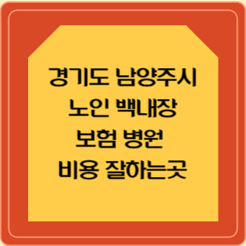 경기도 남양주시 노인 백내장 보험 병원 수술비 비용 지원 잘하는곳