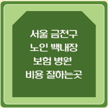 서울 금천구 노인 백내장 보험 병원 수술비 비용 지원 잘하는곳