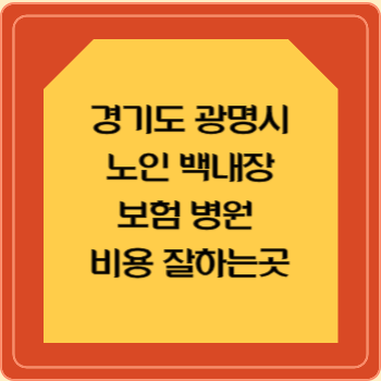 경기도 광명시 노인 백내장 보험 병원 수술비 비용 지원 잘하는곳