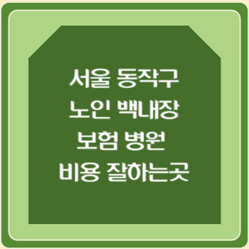 서울 동작구 노인 백내장 보험 병원 수술비 비용 지원 잘하는곳